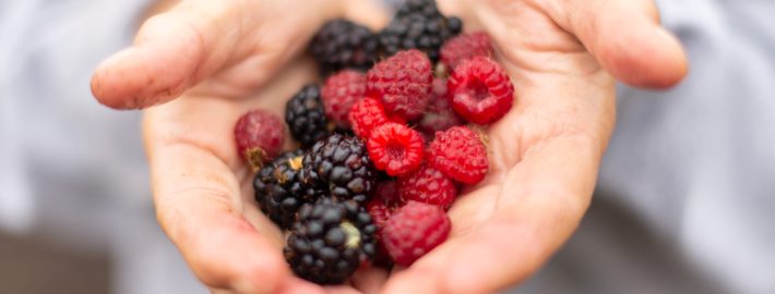 Celebrating Berries in Untraditional Food Dishes