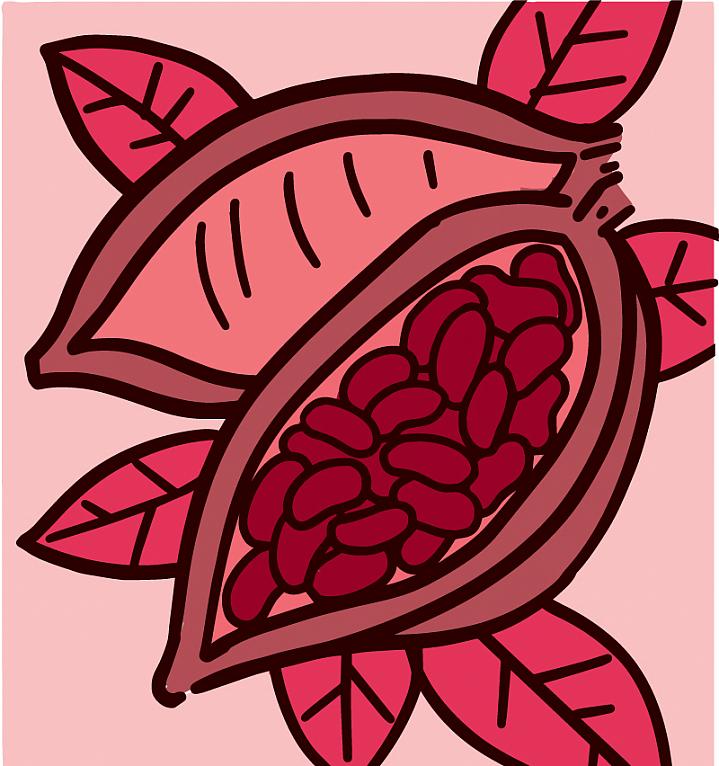 bright pink illustration of cocoa plant