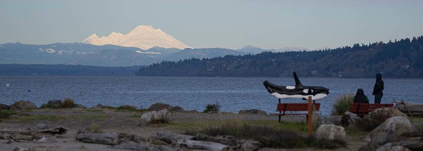 view of mount baker from Edmonds waterfront with wood carving of orca whale in foreground